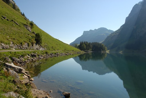 DSC_0042_571px.jpg