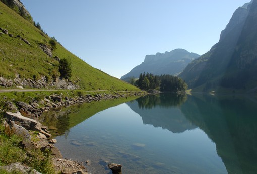 DSC_0042_571px.jpg