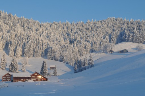 DSC_3386_kl.jpg