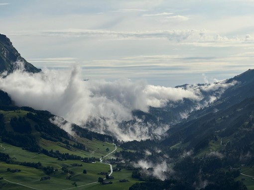 Appenzellerland Website.jpg
